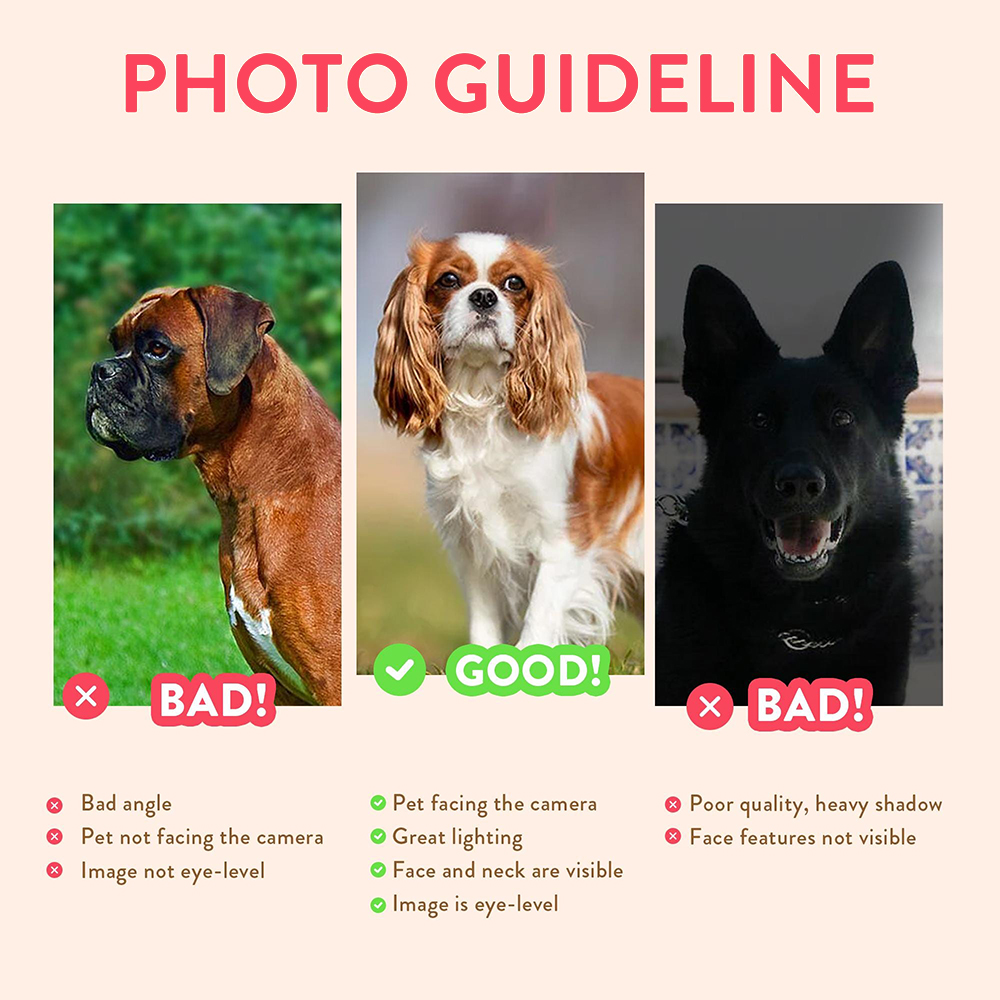 ภาพวาดสัตว์เลี้ยงส่วนตัว พร้อม - Photographic Memory บทวิจารณ์และราคา