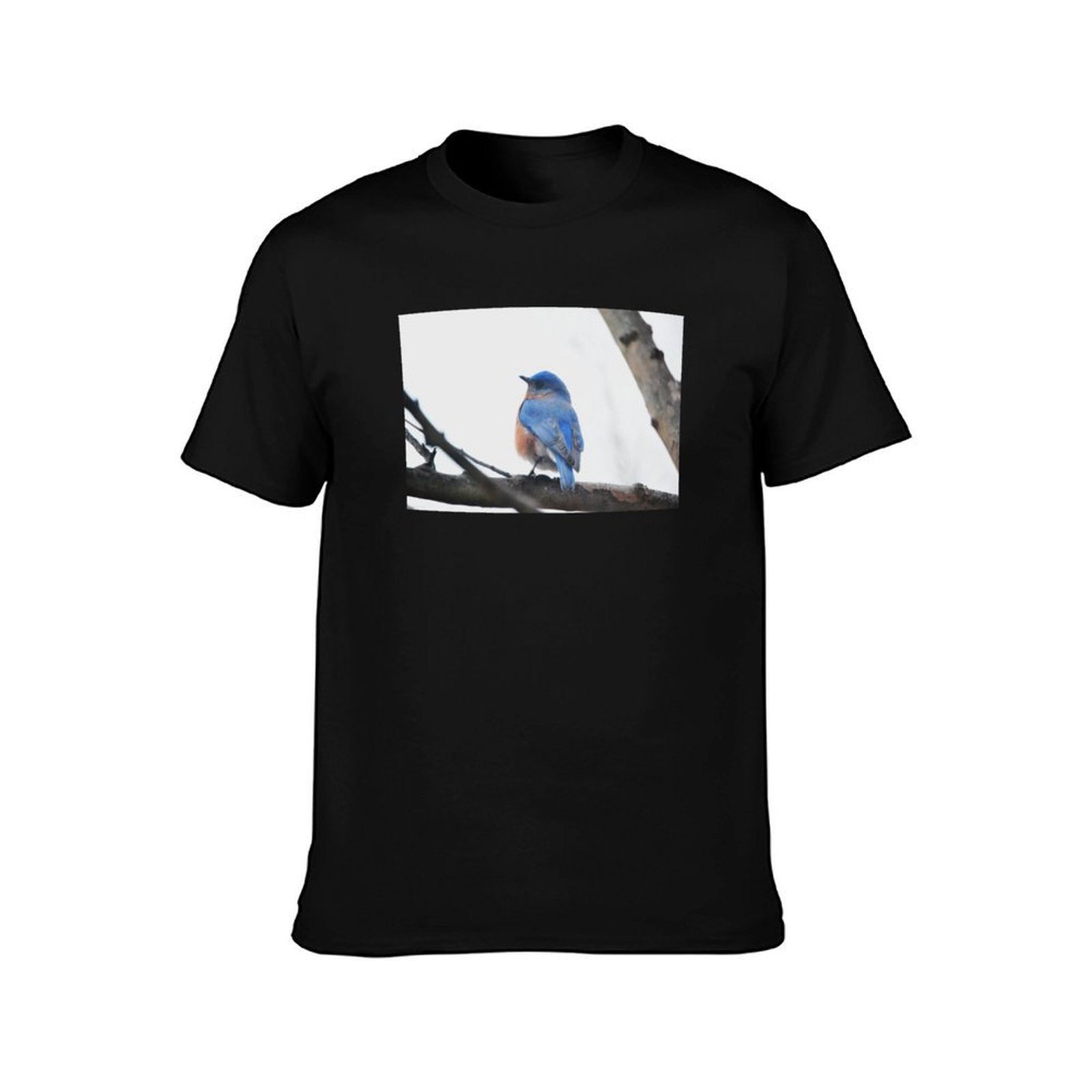 เสื้อยืดถ่ายภาพธรรมชาติบลูเบิร - Photography Training บทวิจารณ์และราคา