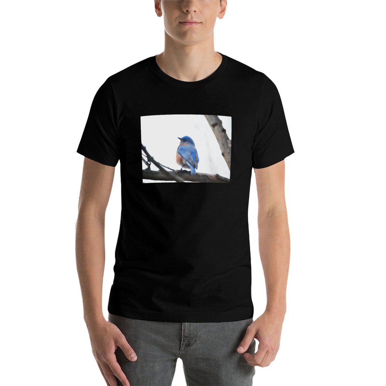 เสื้อยืดถ่ายภาพธรรมชาติบลูเบิร - Photography Training บทวิจารณ์และราคา